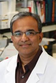 Dr. Kris V. Kowdley
